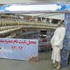 حضور سازمان حج و زیارت در نمایشگاه سراسری اجلاس نماز در اهواز