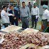 بازدید رئیس سازمان حج و زیارت از آشپزخانه متمرکز قحطانی در مکه مکرمه